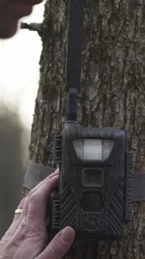 153 reactions · 38 shares | Introducing The FLASHBACK. #StealthCam #Flashback | Stealth Cam | Facebook