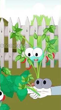 Tomato & Chili Grafting on Eggplant Explained #cartoonforkids #animation #farmanimalct #toonfarm