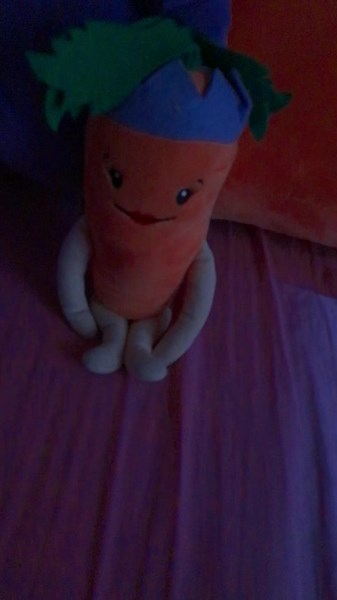 This is the carrot family x