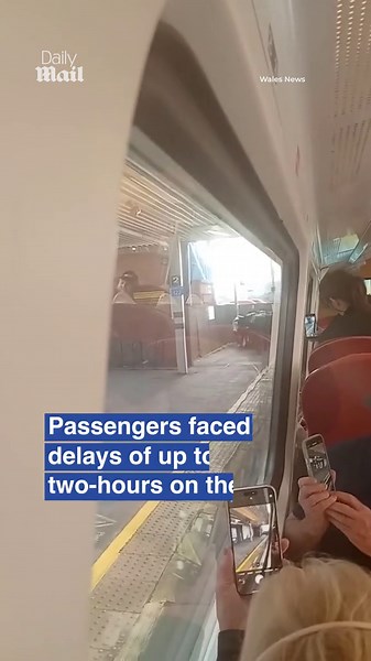 Moo-ve over! Cows storm train station platform causing delays