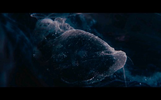 亚马逊科幻电影《遇见/Encounter》2021 ｜外星生物入侵地球寄宿人类