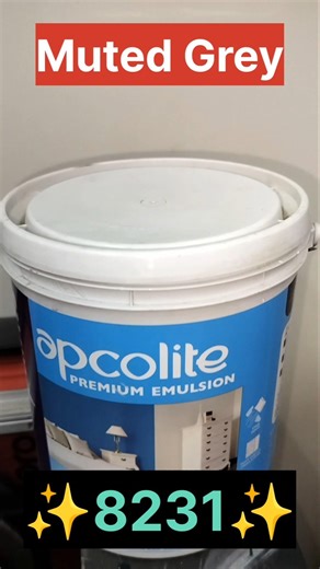 Dark Grey Asianpaints Code 8231 #combination #apcolite #texture #emulsion #painting #design #artist