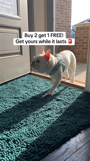 238K views · 14 reactions | Tired Of Pets Dragging Dirt and Mud Inside The Home?  The Muddy Mat Is Perfect For Pets With Dirty Paws Buy 2 Get 1 FREE for a Limited Time! | Muddy Mat | Facebook