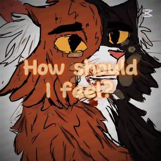 I do the mapleshade draw!!!