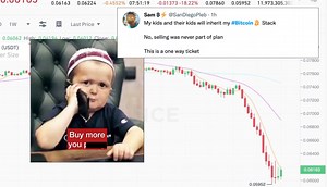 Memes Surge As Bitcoin Plunges Again, With Some Claiming The Crypto Market Is In Crisis