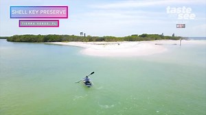 Visit Shell Key Preserve in crystal clear kayaks | Taste and See Tampa Bay