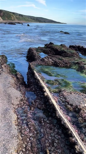 100 % solteco 🙈 (@gilramirez38)’s videos with sonido original - GG Recordz