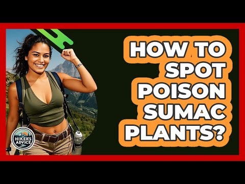 How To Spot Poison Sumac Plants?