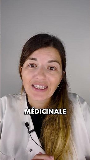 Le ginseng : plante n°1 de la médecine chinoise