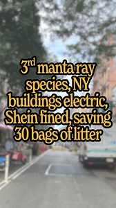 New manta ray species was discovered, NY 1st state to require new buildings to be electric, Italy brings fast fashion accountability, saving 30 bags of beach litter… I report what’s going right in the world, see you tomorrow for more :) | jacobsimonsays