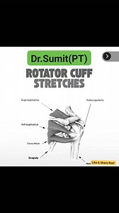 ROTATOR CUFF STRETCHES #viralreelschallenge #trendingreelsvideo #PhysiotherapyExperts #PhysiotherapyCare #physiotherapy_world #physiotherapytips #PhysiotherapyAtHome #PhysiotherapyMatters #PhysioChallenge #PhysiotherapyEquipment #physiotherapy #physiotherapist #physio #physiotherapie #physicaltherapy #physicaltherapist #PhysiotherapyClinic #trendingnow #trend | Dr. Sumit PT