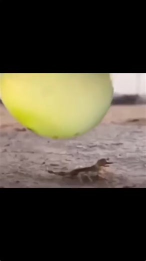 2.7M views · 60K reactions | ...huh? | Meme B&A 1945 | Facebook