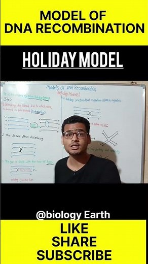 HOLIDAY MODEL ||DNA RECOMBINATION MODEL
