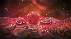 Asea - the Science behind Redox Signaling Molecules – What are they?