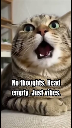 When the NPC dialogue script gets corrupted.🐈🌀 #cat #shorts