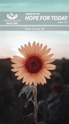 Hope for Today (@hope.for.today)’s videos with original sound - Hope for Today