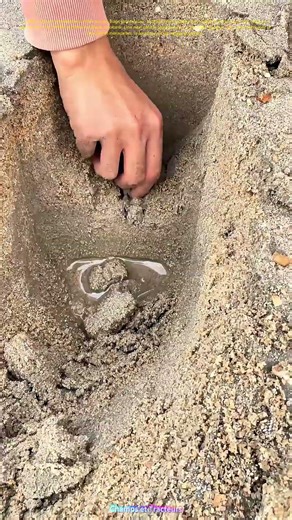 Le sable s'ouvre : pelle dérobe le crabe de sa cachette humide