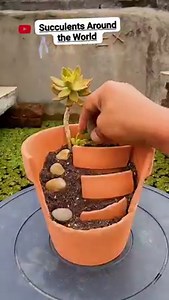 3M views · 92K reactions | Beautiful succulent DIY ideas from recycling ----------------- Follow - Succulents Around the World  | Cactus Garden | Facebook