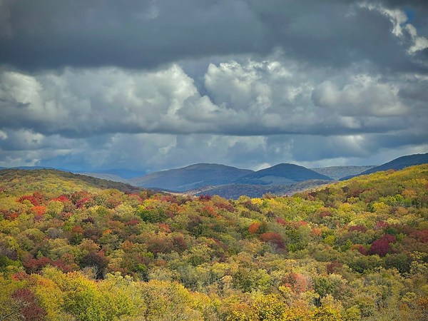 West Virginia Forestry, USDA Forest Service team up to improve forest health