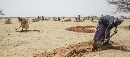 アフリカに築かれる｢緑の万里の長城（Great Green Wall）」。サハラ砂漠の拡大防止で大陸横断の植林帯。計画から10年で15%を達成（RIEF）