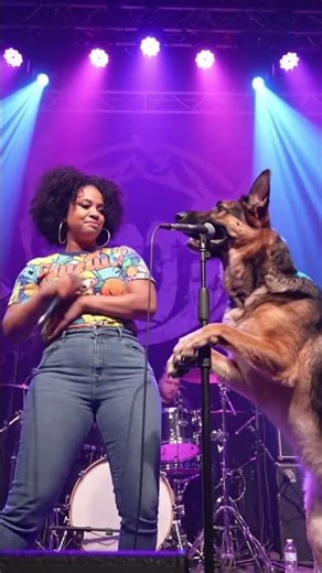 new rap song by Narendra Modi