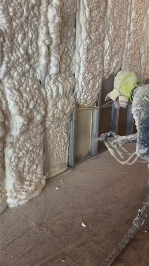 Foam Insulation Spray 😱 | #ocean #voice