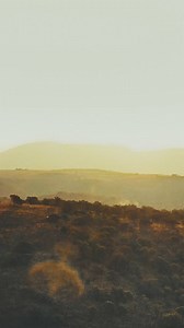 1.1M views · 2.2K reactions | As we continue to celebrate the vibrant spirit of Southern Africa, we're thrilled to bring you even more unforgettable entertainment! With 13 captivating channels, spanning seven countries and 10+ languages, we're proud to showcase the region's most talented storytellers and creators. Get ready for a fresh wave of gripping series, blockbuster movies, and authentic local content. #FAMEWeekAfrica #EnrichingLives | MultiChoice Group | Facebook