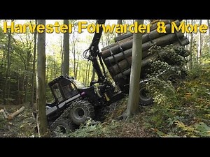 Logset 6F | Brandnew Forwarder | Perfect Fall Weather