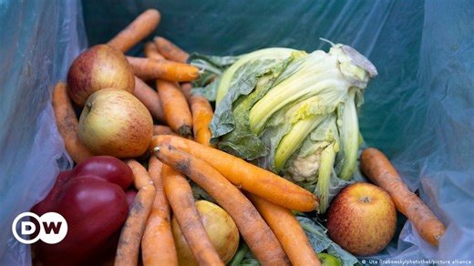 New food waste law comes to California – DW – 03/31/2022