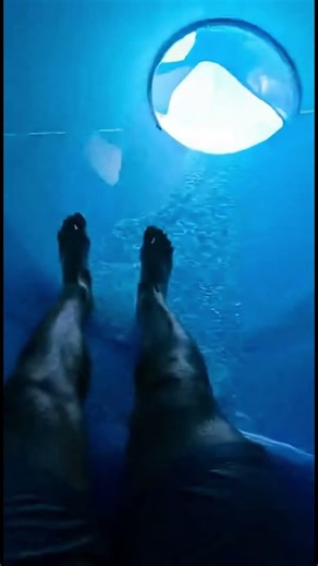 POV: A Banana Slip Mid-Slide 😂🍌💦