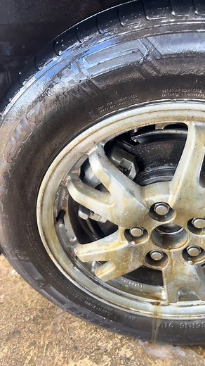 Complete Car Care: Prius Wash and Wheel Cleaning