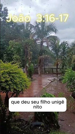 JOÃO 3:16-17 Deus amou o mundo de tal maneira... #João316 #PalavraDeDeus #VersículoDoDia #Jesus