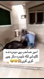 1.2M views · 10K reactions | 來來來#funnyvideos #funnyreel #viralreels...