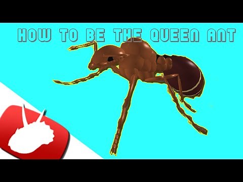 ✓ Roblox - Ant Simulator - How to be the "Queen ant"