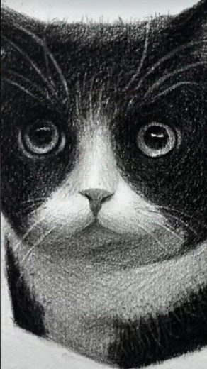 How To Draw A Realistic Cat Step-By-Step! 🐱✍️#CatDrawing #DrawingTutorial #HowToDraw