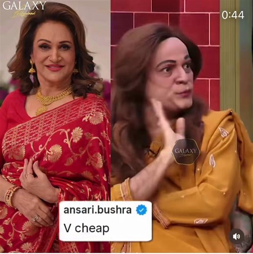 بشریٰ انصاری صاحبہ نے خود زمانے بھر کی parodies کیں ۔۔۔ سلمٰی آغا، میڈم نور جہاں، طاہرہ سیّد کی والدہ اور نا جانے کس کس کی اور آج جب ان کے parody کسی نے کی تو v cheap ہو گیا ۔۔۔ وہ سب جو آپ دوسروں کو دیتے ہیں “پلٹ کر آنا ہی ہوتا ہے” نظامِ قدرت ہے ۔۔۔ ویسے کیا ہی کمال parody ہے قسمے