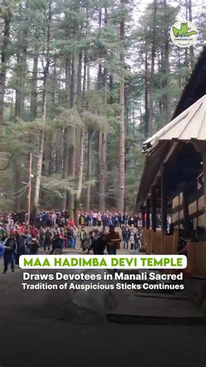 Faith and Belief at Maa Hadimba Devi Temple Sticks Left at Shrine Considered Auspicious Maa Hadimba Devi Temple in Manali is one of Himachal Pradesh’s most revered spiritual sites. According to temple tradition, any stick that remains within the temple premises is considered auspicious. Devotees believe this symbolizes divine acceptance and blessings from the goddess. The unique ritual has been followed for generations with deep faith. Surrounded by cedar forests, the temple holds immense cultur