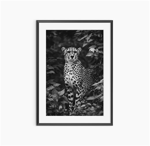 Cheetah Print, Photography Prints, Animal Poster, Nature Prints, Black and White Wall Art, Fine Art Print, Museum Grade Photography Poster - Etsy