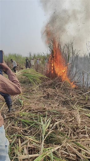 Birjan sahani (@birjan.sahani)’s videos with original sound - Birjan sahani