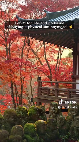 Stay Connected While Traveling with Jetpac eSIM