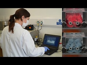 A more effective way to develop your formulations - The basic Mixer Torque Rheometer concepts