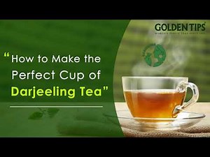 How to Make Perfect Cup of Darjeeling Tea | Darjeeling Tea