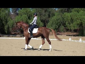 How to Ride Walk Pirouettes
