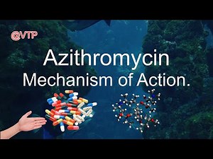 Azithromycin Mechanism of Action