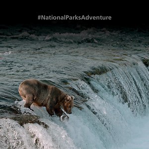 3.2K views · 40 reactions | Today thru Sunday, Celebrate National...