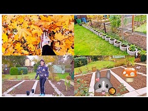 The vlog continues 🌹/That was enough 👍😋/Planting onions and garlic 🧅🧄