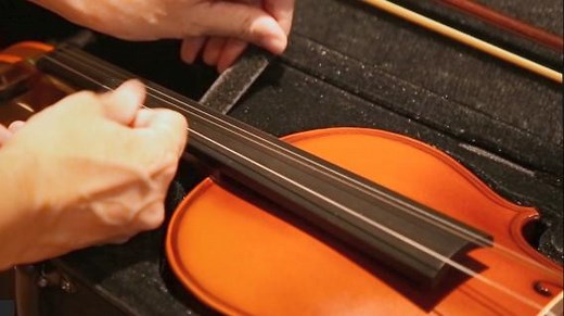 5.7K views · 38 reactions | What's inside the Aileen Premium Beginner Series violin kit? Along with the violin, it also comes with an upgraded violin bow, D'Addario Prelude strings, a pad of fingerboard sticker, a digital chromatic tuner metronome, an owner's manual and a lightweight violin case. Just everything you need to start your violin journey.✨ Hit the link to shop and unbox yours: https://amzn.to/3hFRcev | Aileenstrings | Facebook