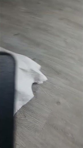 бибизяна hot REEEEEEEEEEEE