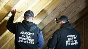  Need Wildlife Management, Pest Control, or Home Services? We’ve Got...