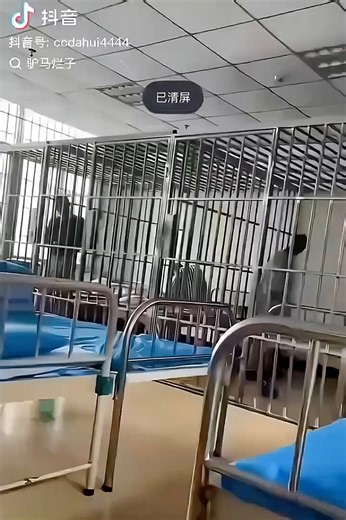 中国の精神病院です。ここは室内に牢屋があります。精神病院の患者はストライプ柄の服を着させる所が多い。病気でない人が、入れられる事はよくある。政治犯、臓器目的です。#精神疾患 #精神病 #精神病院東急 目黒線 東横線 京成 本線メトロ 南北線 人身 事故 遅延 Jr